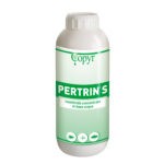 1430002_PERTRIN-S-1Lt